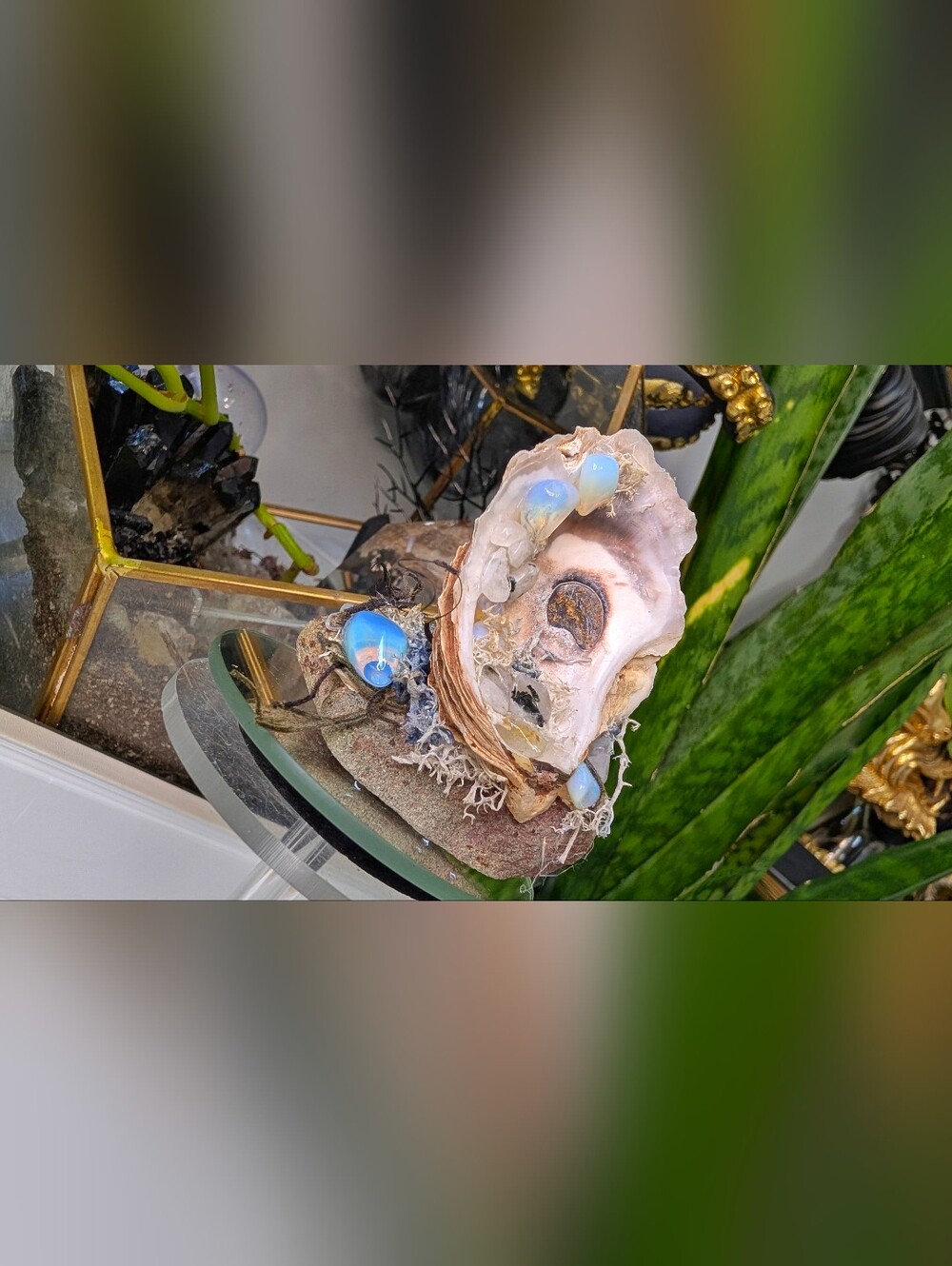 Seashell w/ Opalite Crystals & Artificial Moss